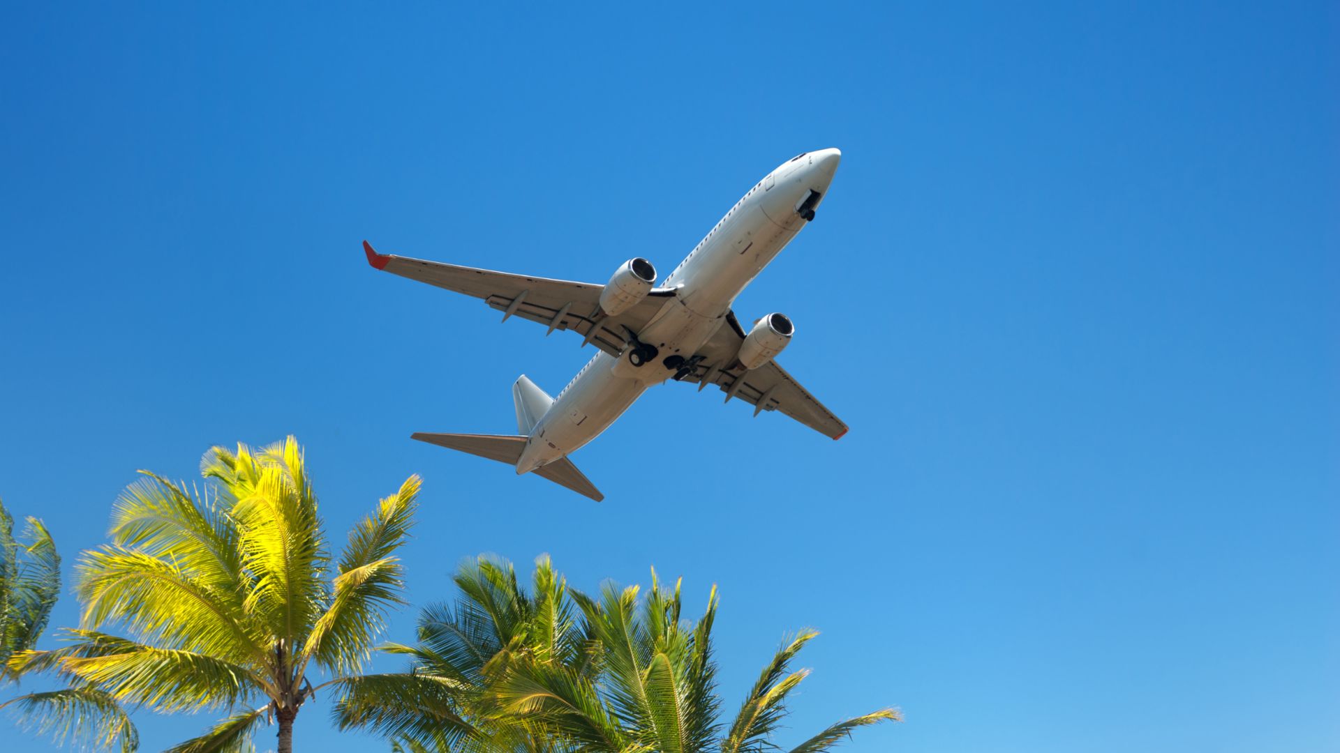 Airport Transfers